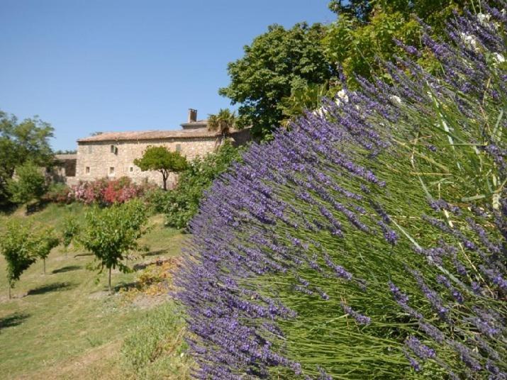 Domaine De Cousignac Bed & Breakfast Bourg-Saint-Andéol Dış mekan fotoğraf